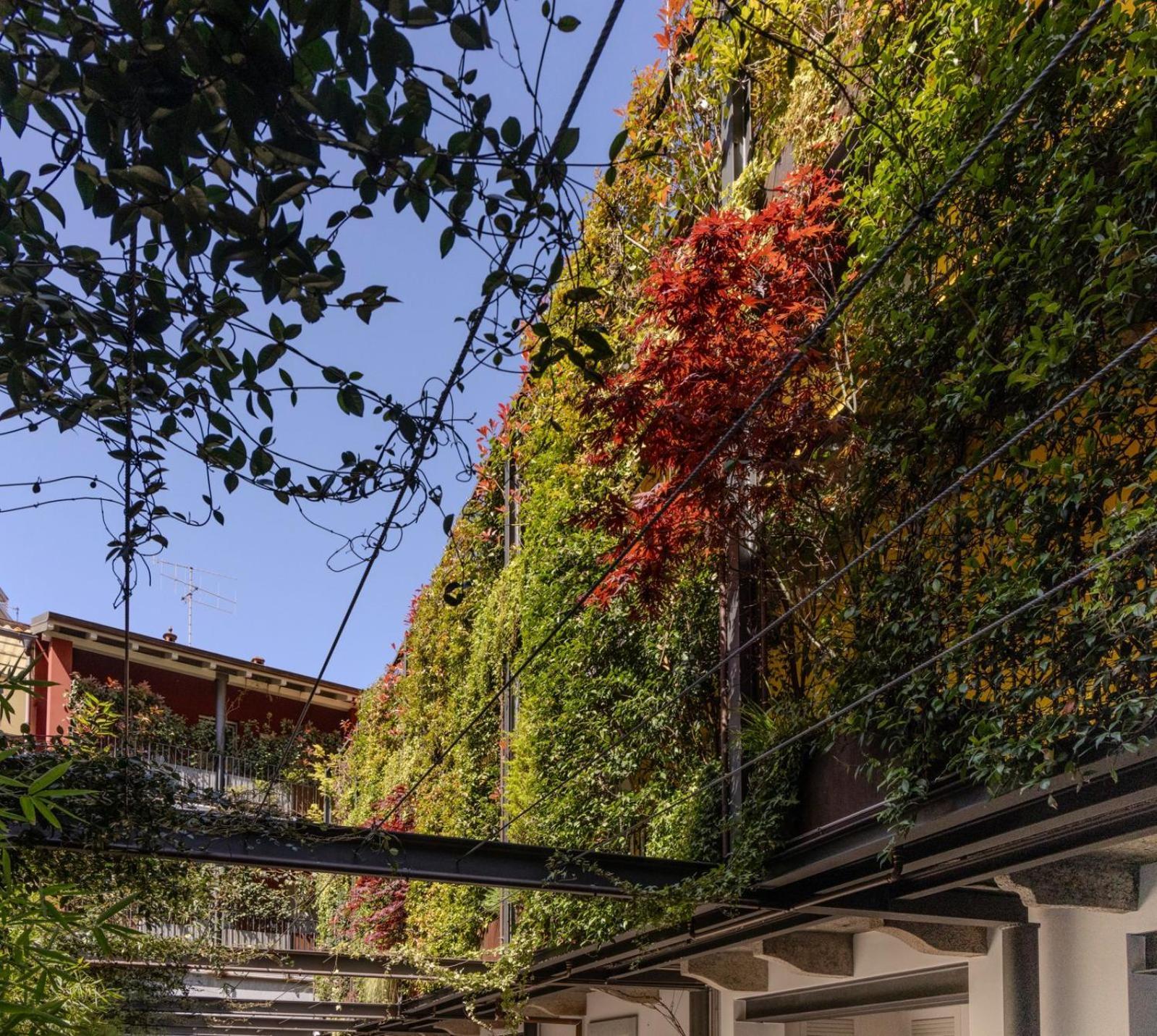Residence Casa Coppa Appartamento Flox Omegna Dış mekan fotoğraf
